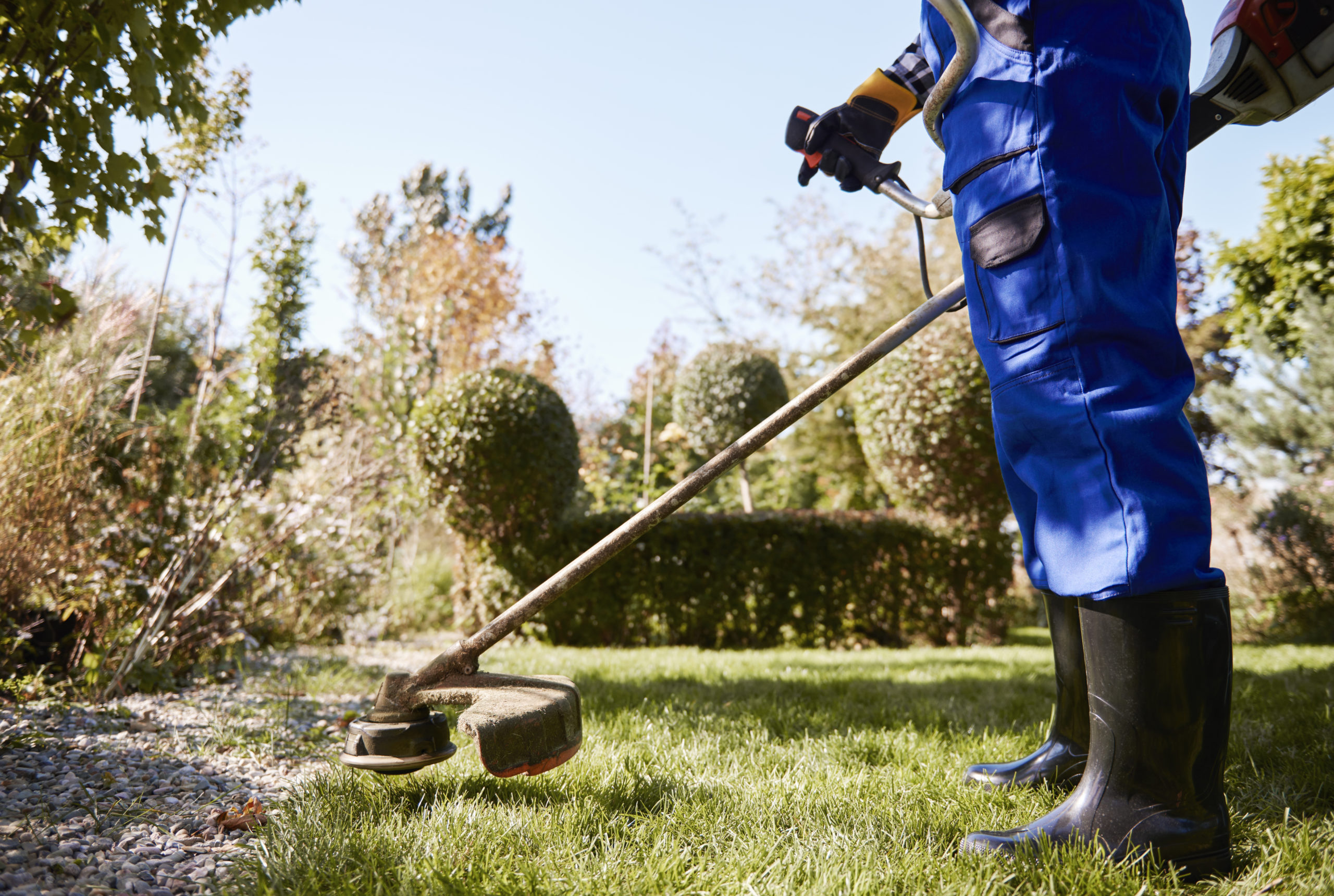 Incorpora servicios de jardinería en tu Comunidad de Vecinos